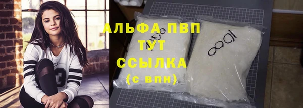 ECSTASY Новодвинск