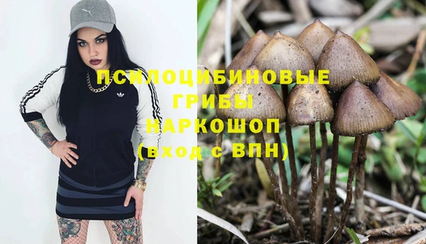 сатива Балабаново