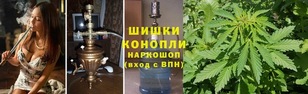 сатива Балабаново