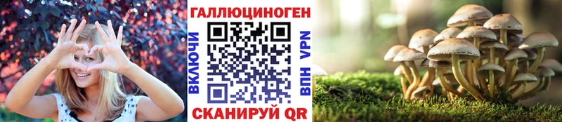 это Telegram  Барыш  Псилоцибиновые грибы Magic Shrooms 